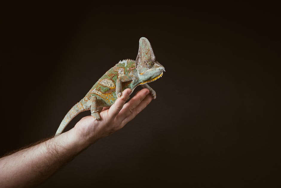 Why Exotic Pets Are Growing in Popularity